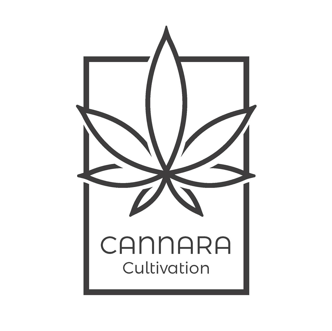 Nueva marca Cannara
